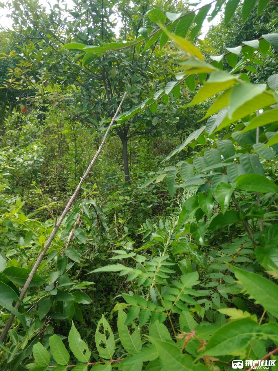 20180801_3591506_1533113544279.jpg