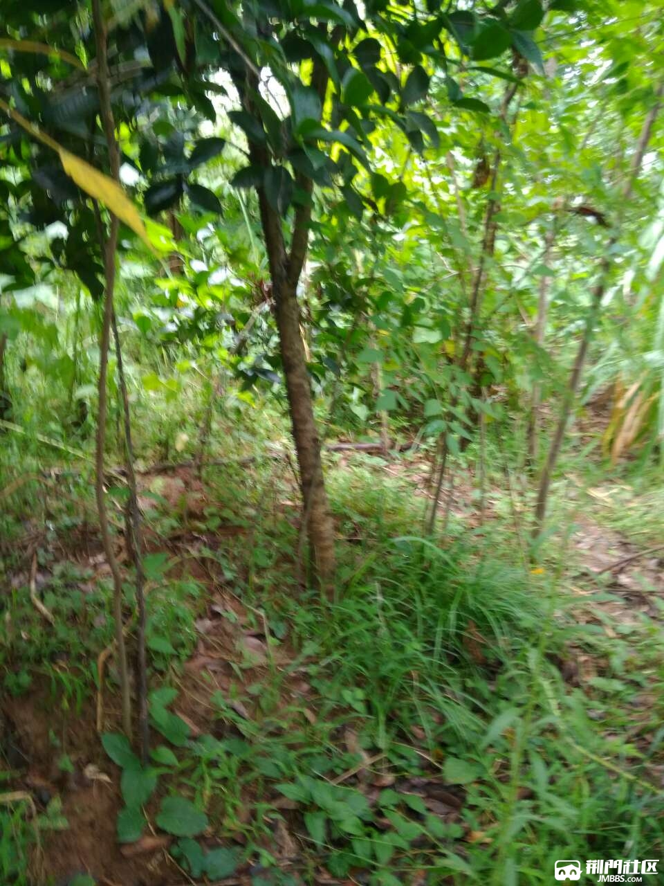 20180801_3591506_1533113544933.jpg