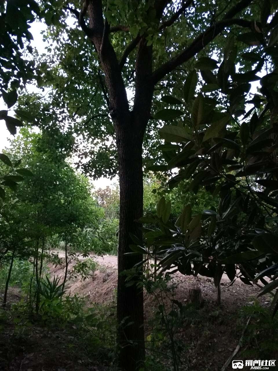 20180812_3573075_1534075732677.jpg