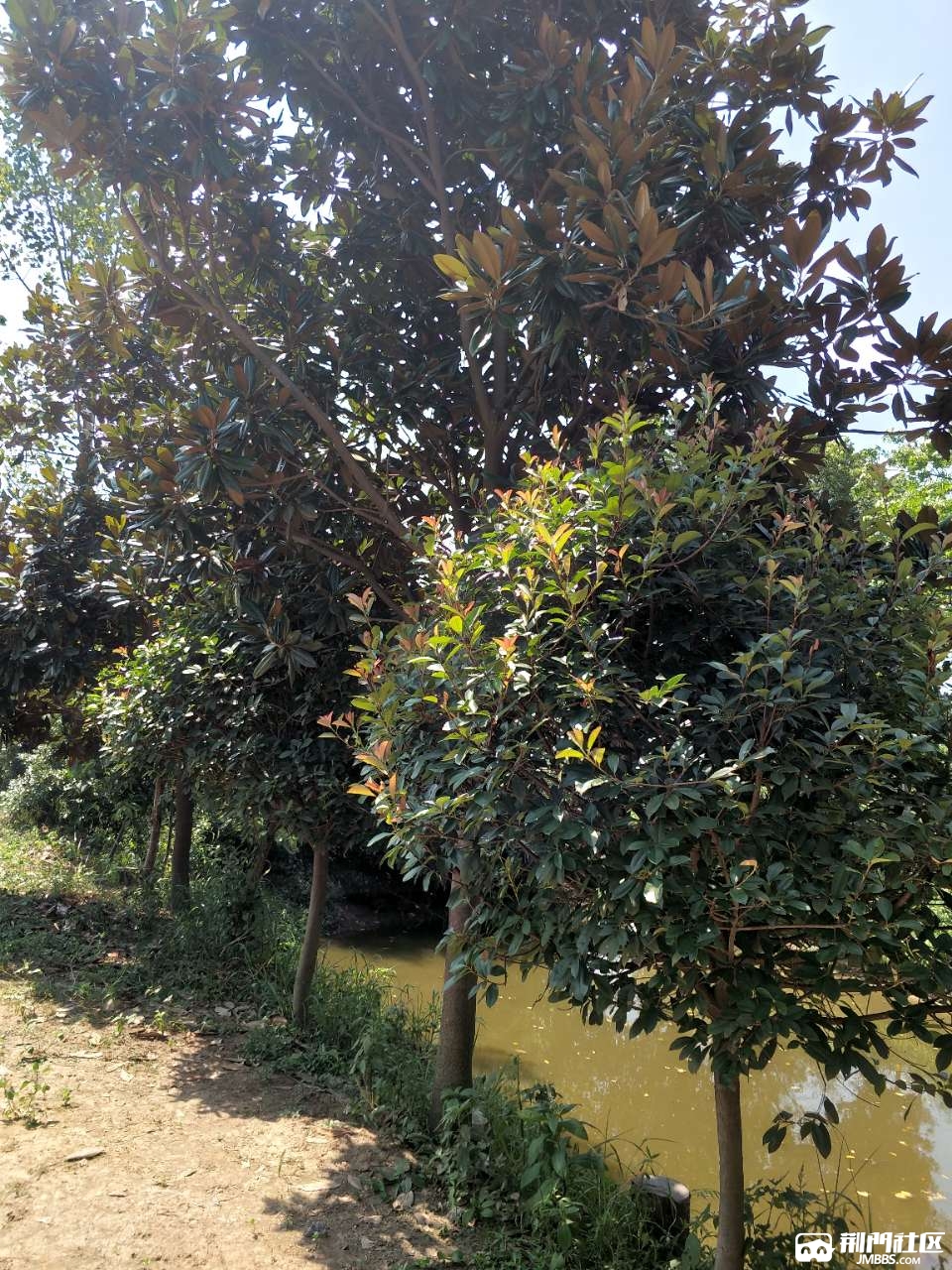 20180816_3573075_1534387730613.jpg