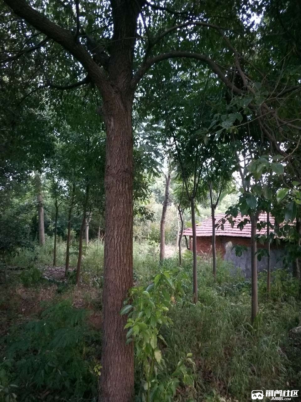 20180816_3573075_1534387731037.jpg