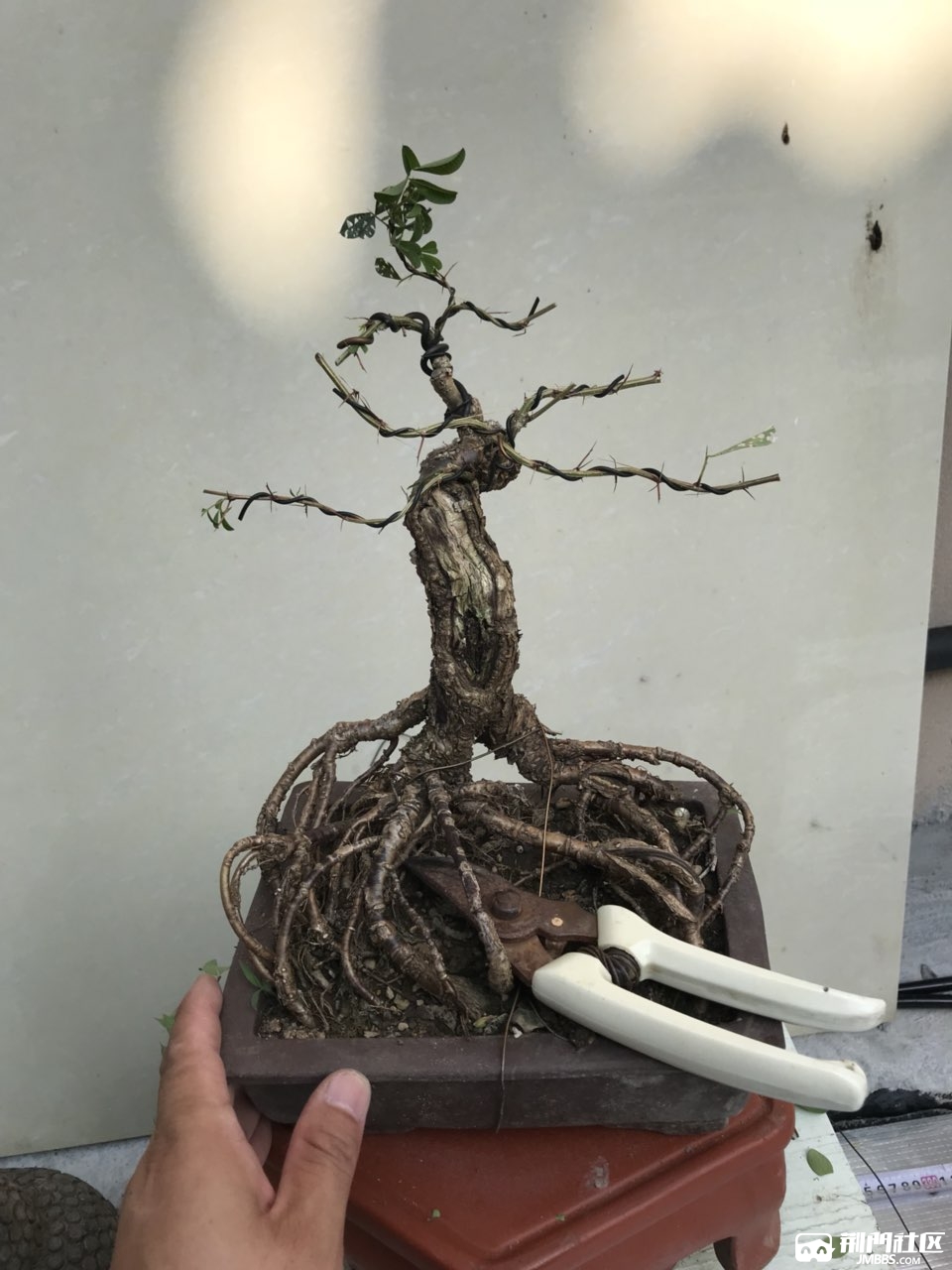 20180825359145115351681917256.jpg