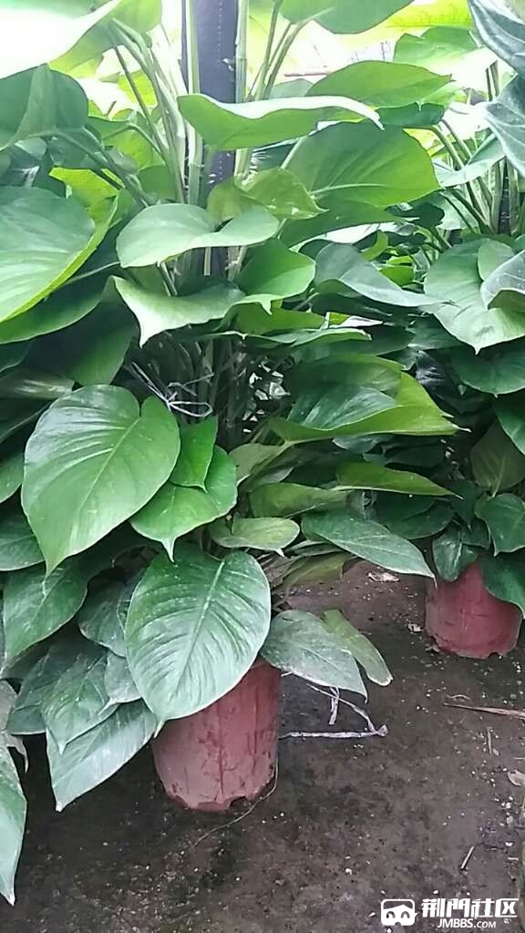 20180901_2854598_1535797516626.jpg