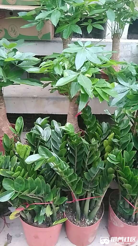 20180901_2854598_1535797517118.jpg