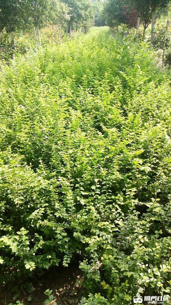 20180905_3329077_1536156884694.jpg