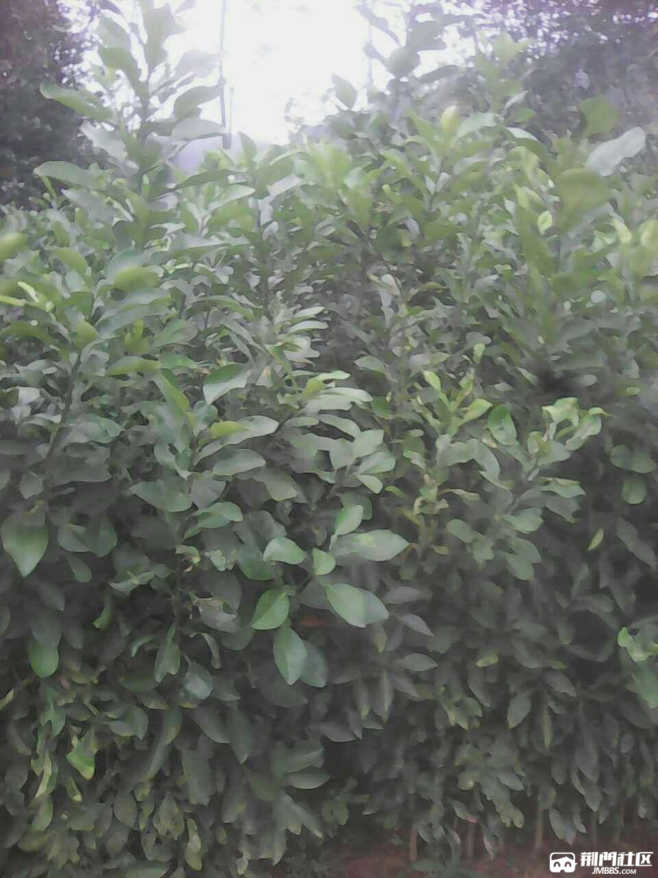 20180922_3602059_1537584808872.jpg
