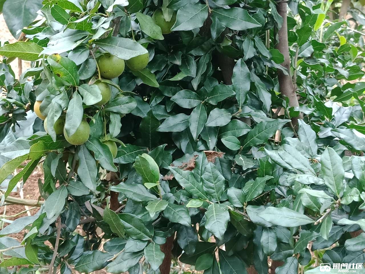 20180924_327115_1537793618097.jpg