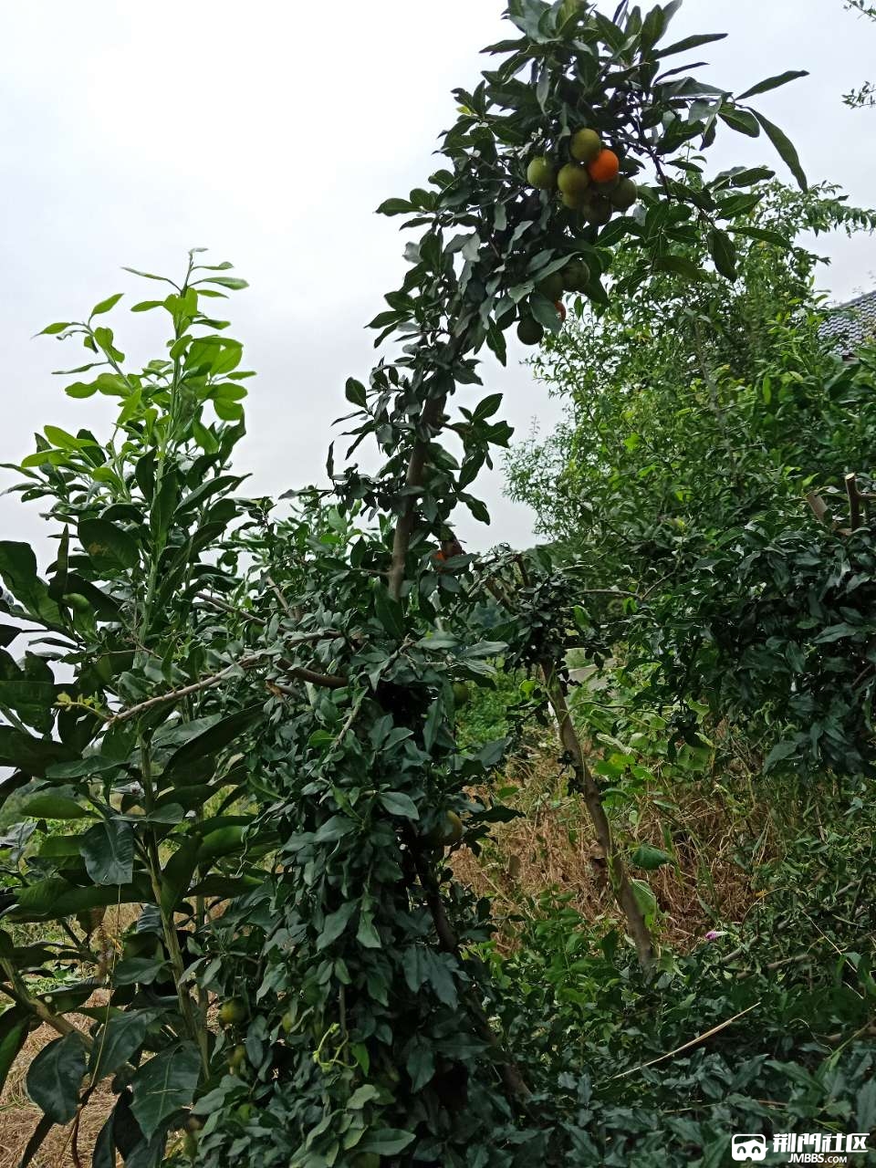 20180924_327115_1537793618541.jpg