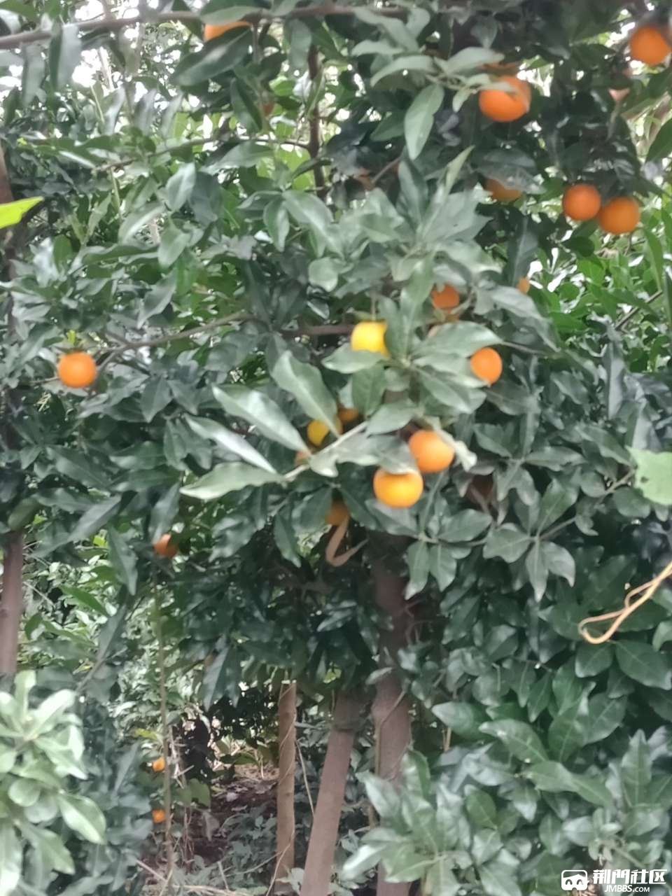 20180924_327115_1537793619052.jpg