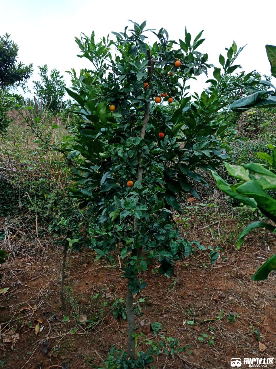 20180924_327115_1537793621318.jpg