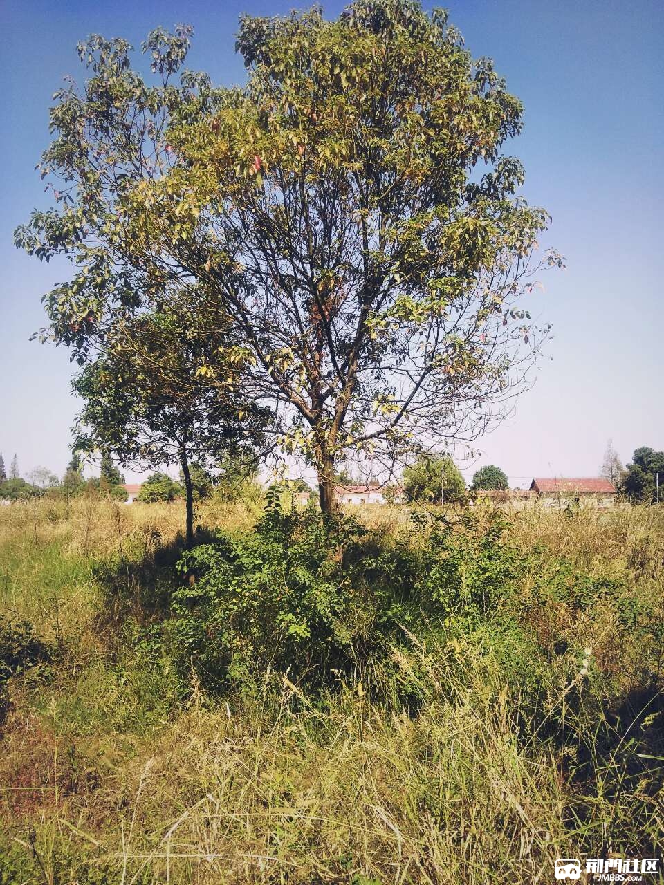 20181004_2944072_1538652709196.jpg