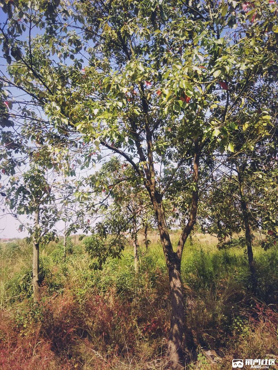 20181004_2944072_1538652712361.jpg