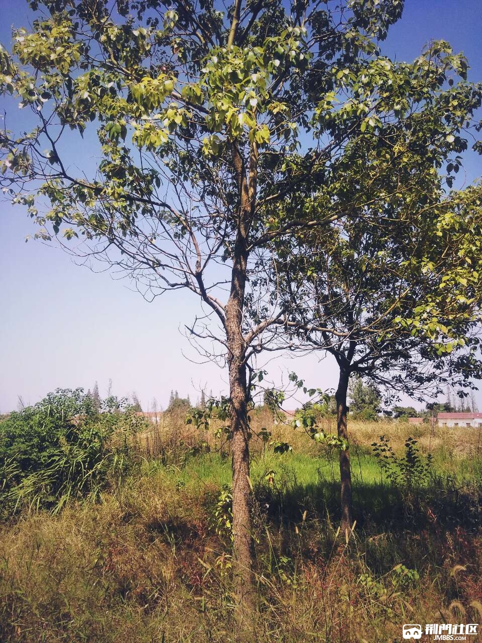 20181004_2944072_1538652710674.jpg