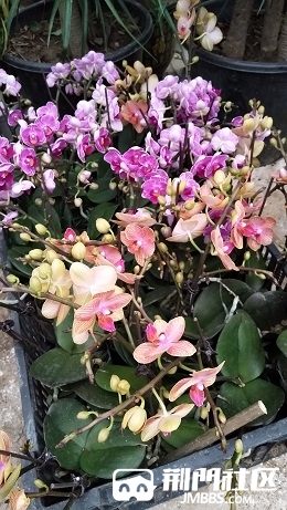 IMG_20181020_134114.jpg
