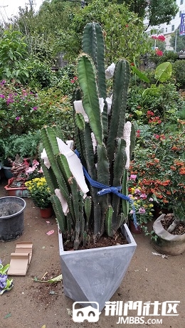 IMG_20181019_115400.jpg