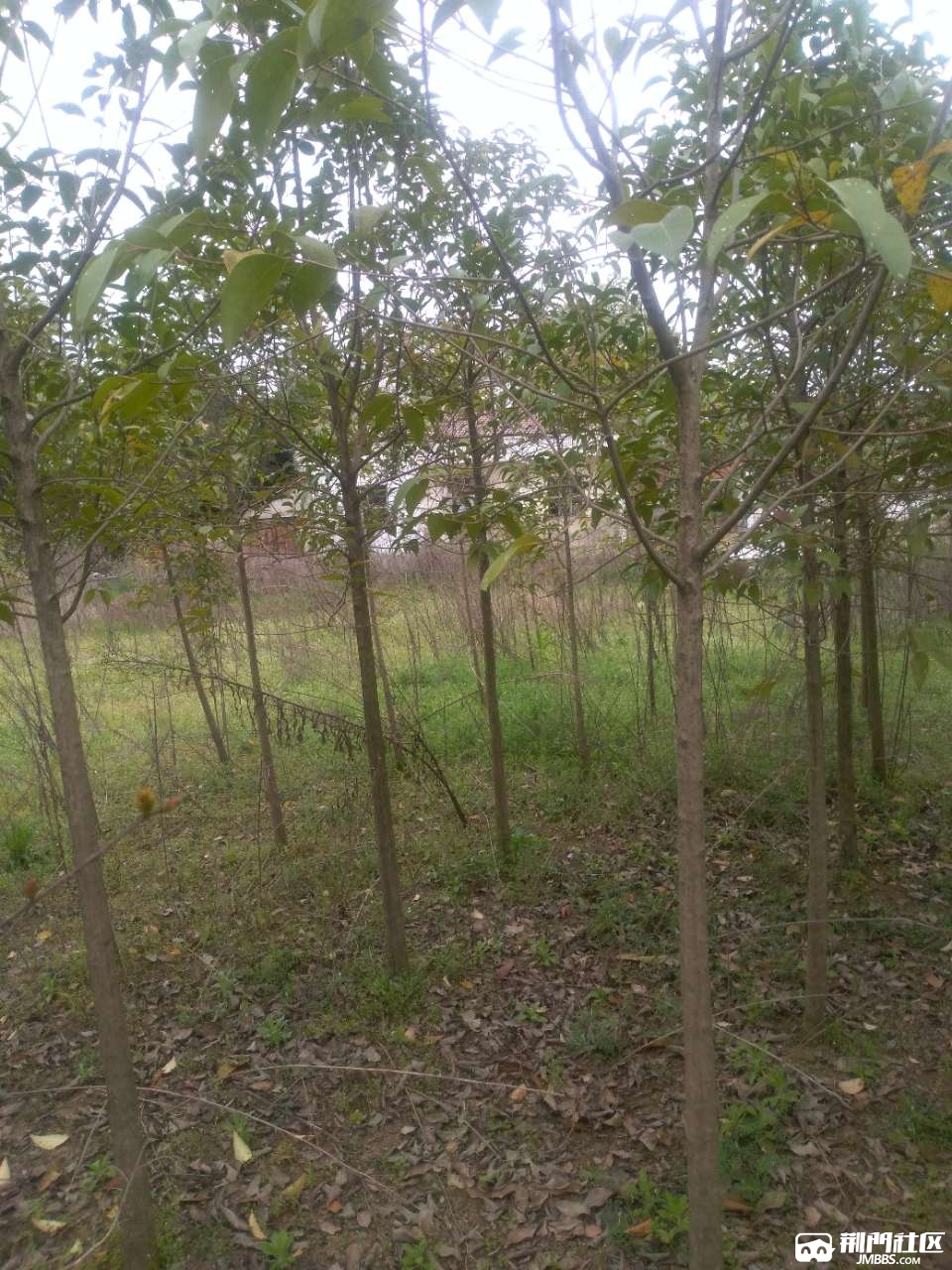 20181123_3546248_1542959350123.jpg