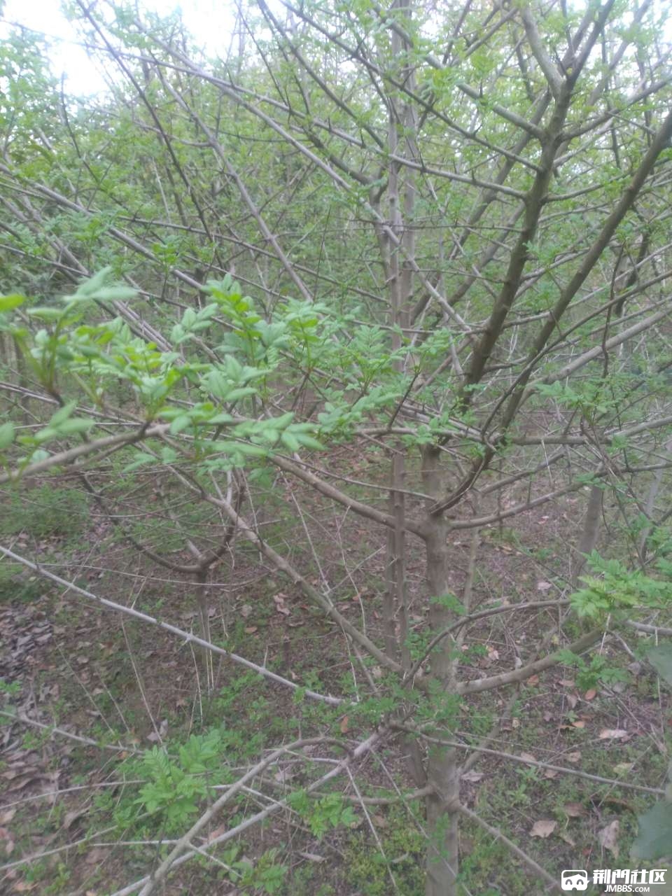 20181123_3546248_1542959350847.jpg