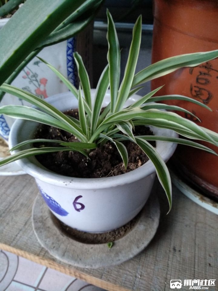 6�ŵ���10Ԫ��.jpg
