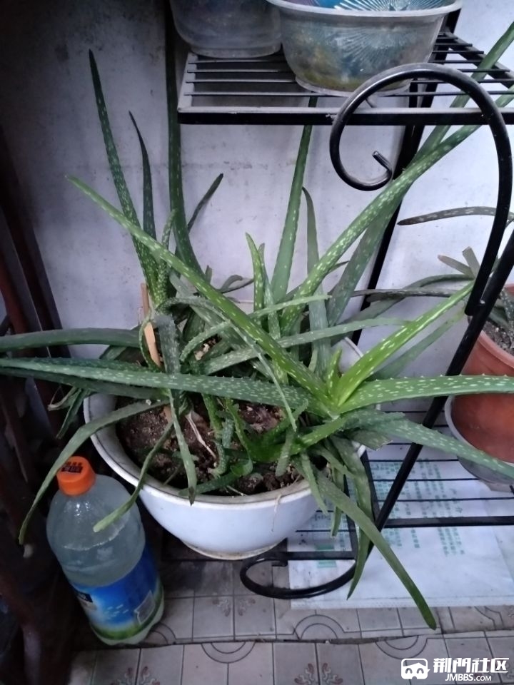 20��«��25Ԫ��.jpg