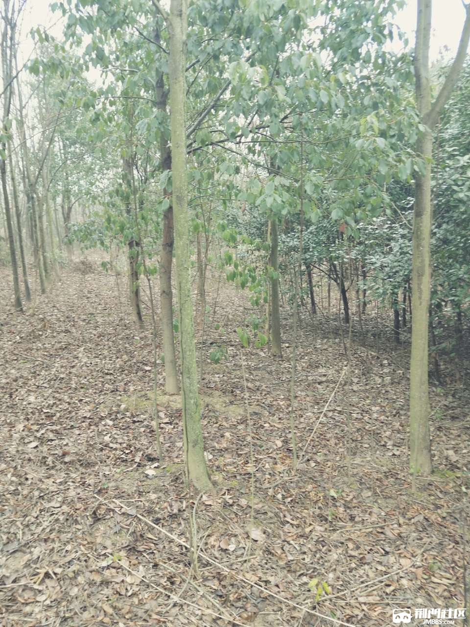 20190118_135533_1547775159734.jpg