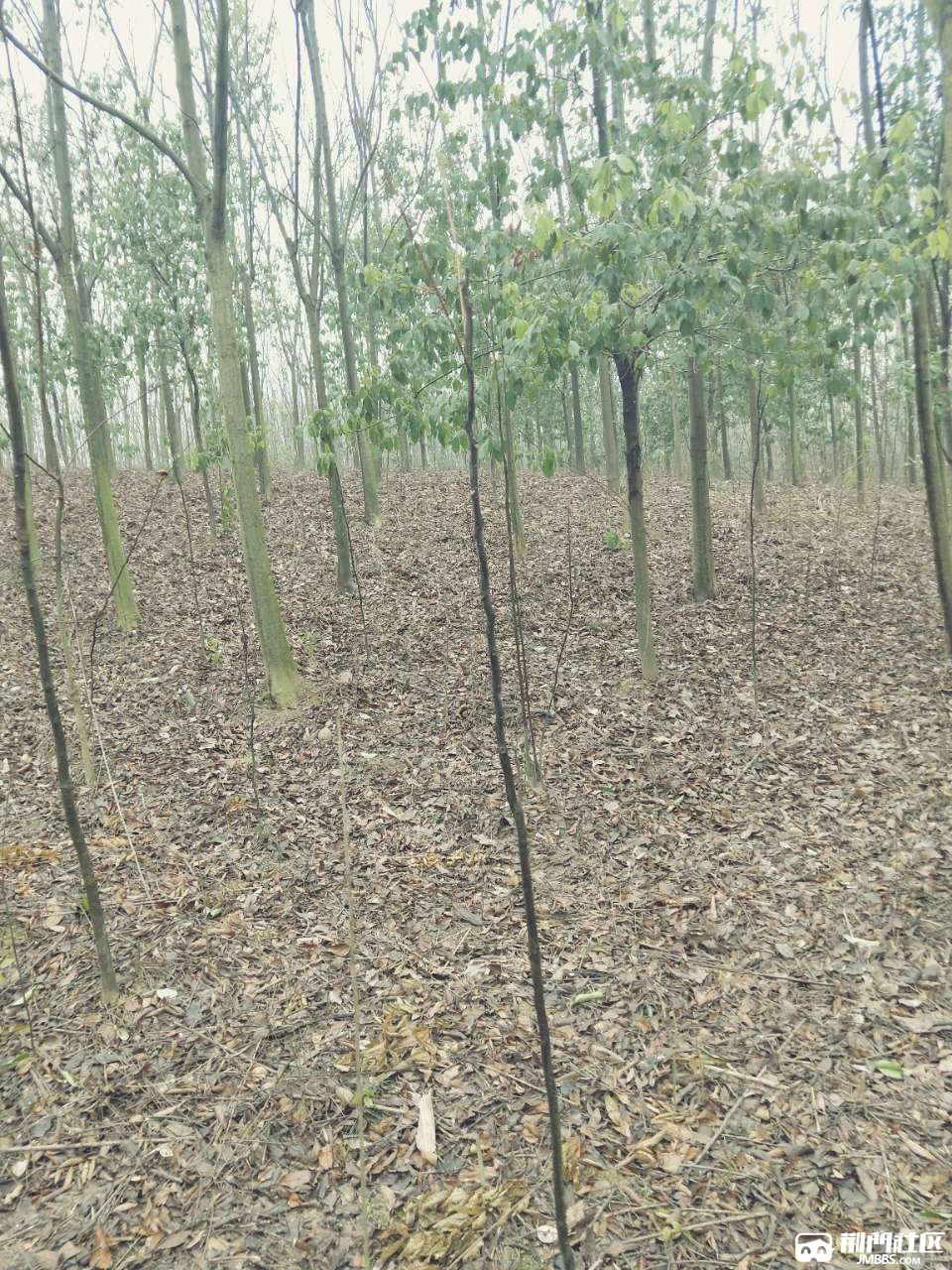 20190118_135533_1547775160068.jpg