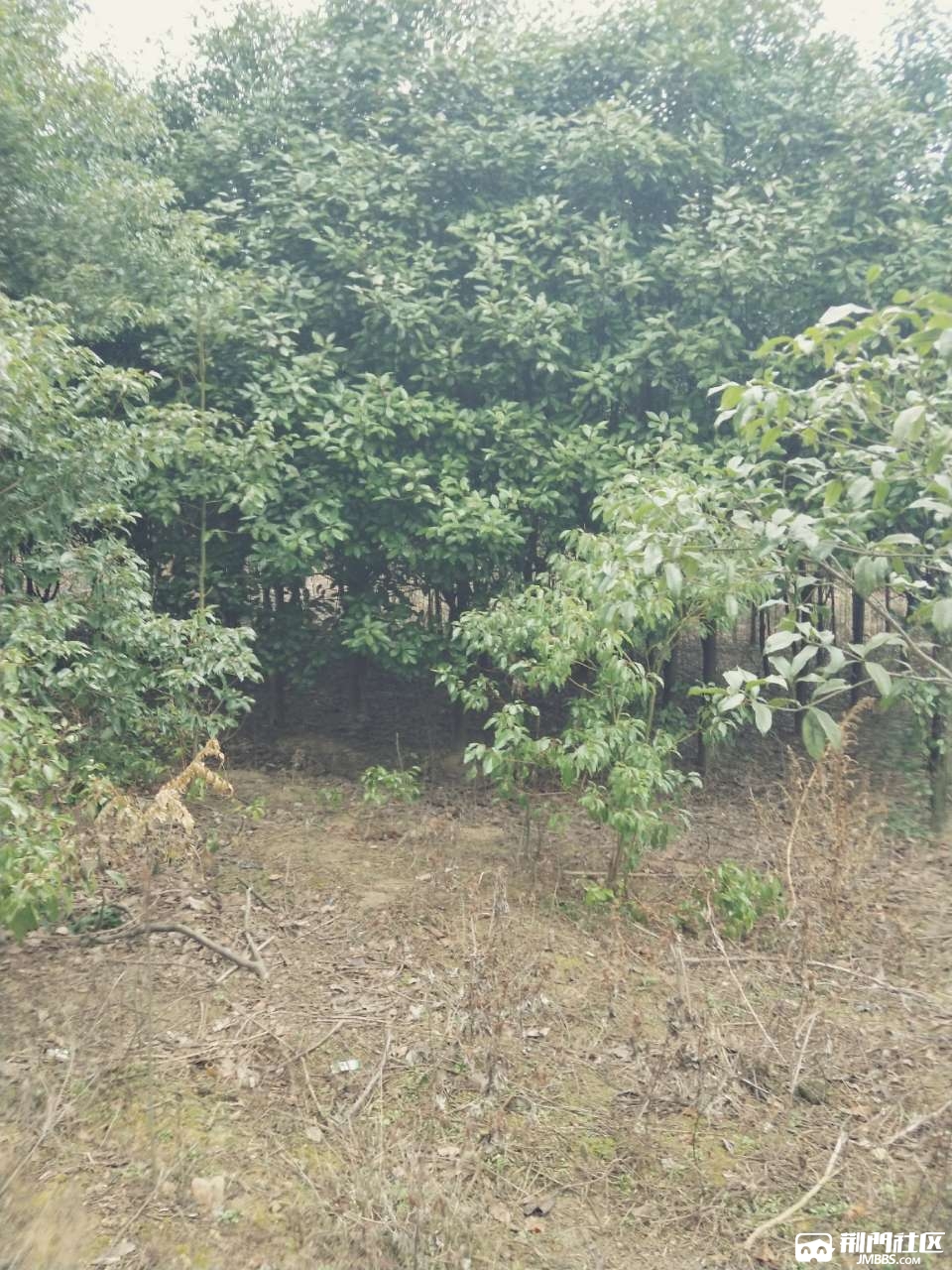 20190118_135533_1547775161859.jpg