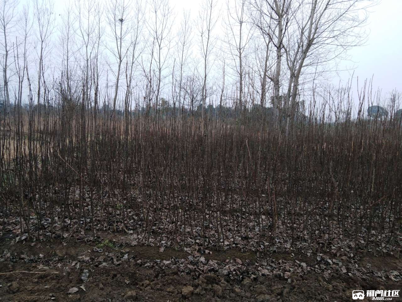 20190221_3237044_1550729946415.jpg