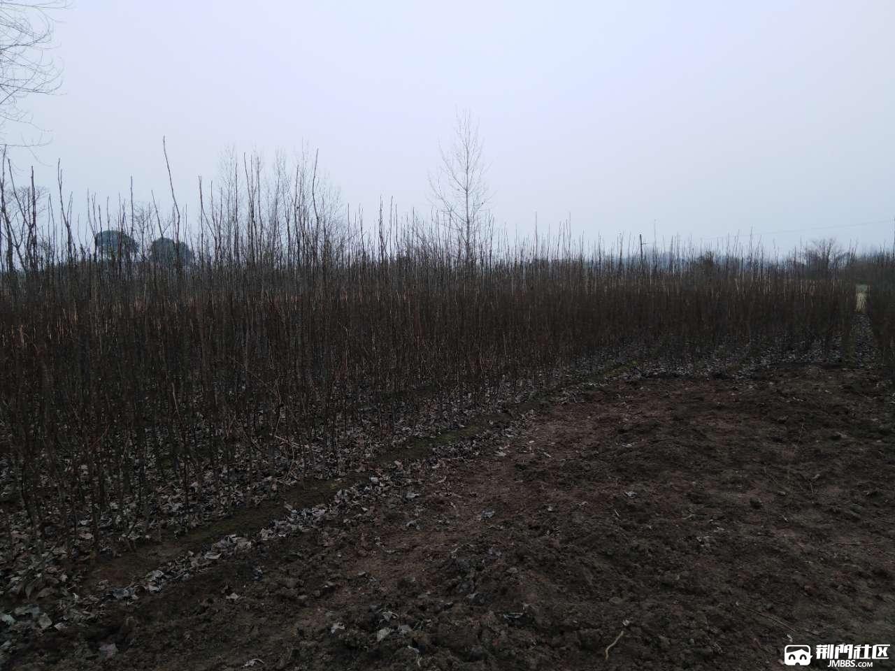 20190221_3237044_1550729945728.jpg