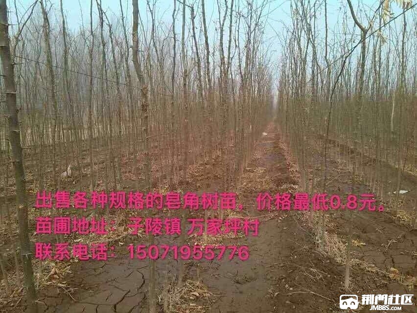 20190226126231551156248543544.jpg