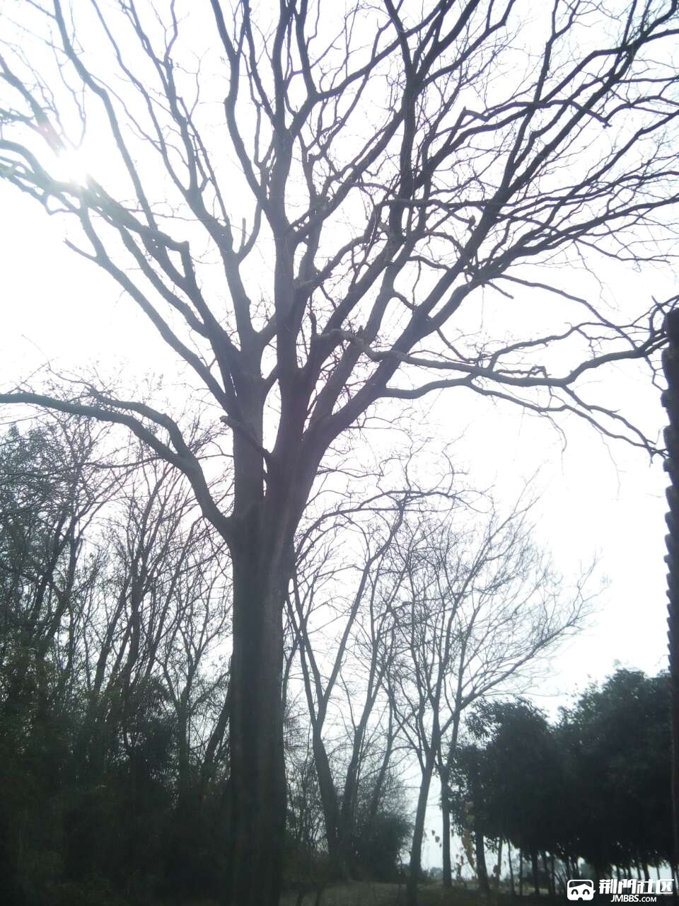 20190228_3593496_1551323051918.jpg
