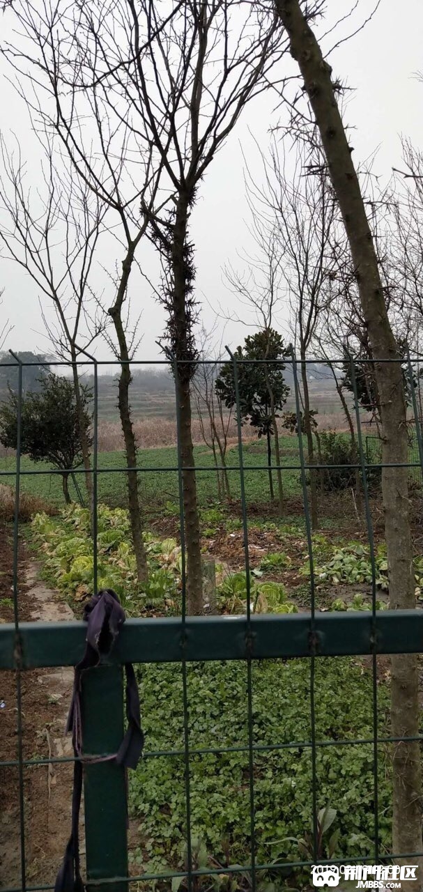 20190228126231551338373394489.jpg