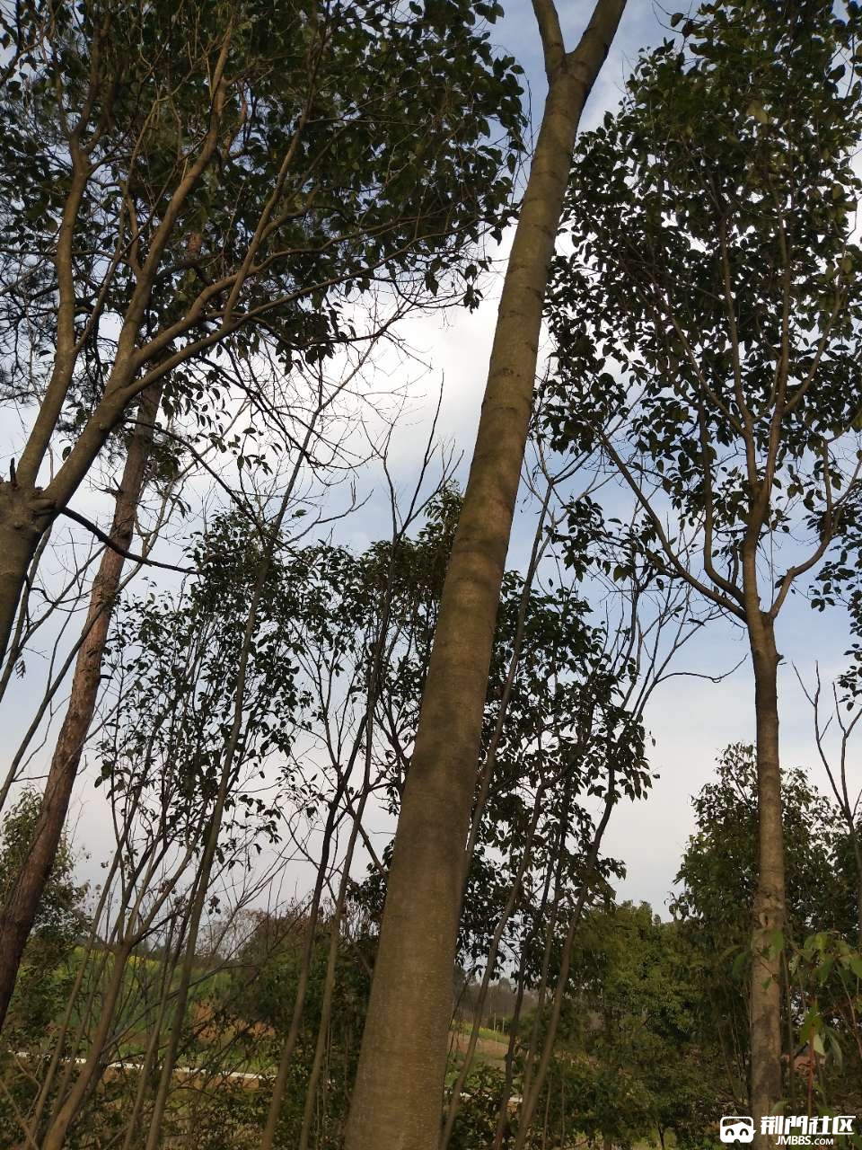 20190314_3623274_1552553216444.jpg