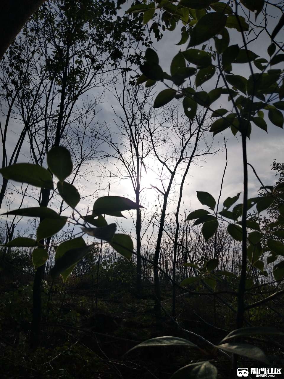 20190314_3623274_1552553218436.jpg