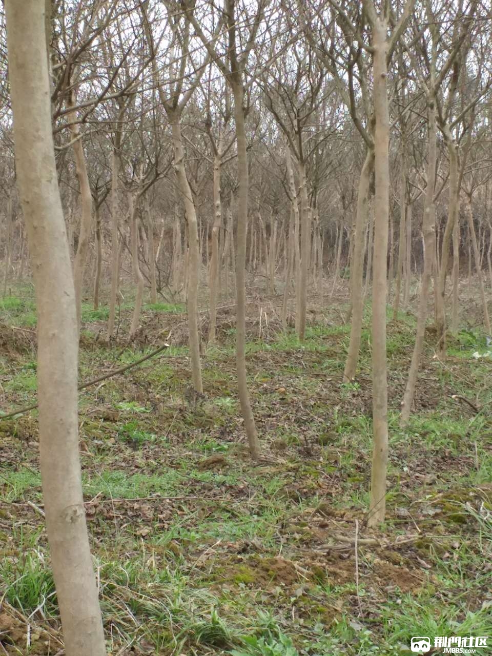 20190318_3573075_1552883587760.jpg