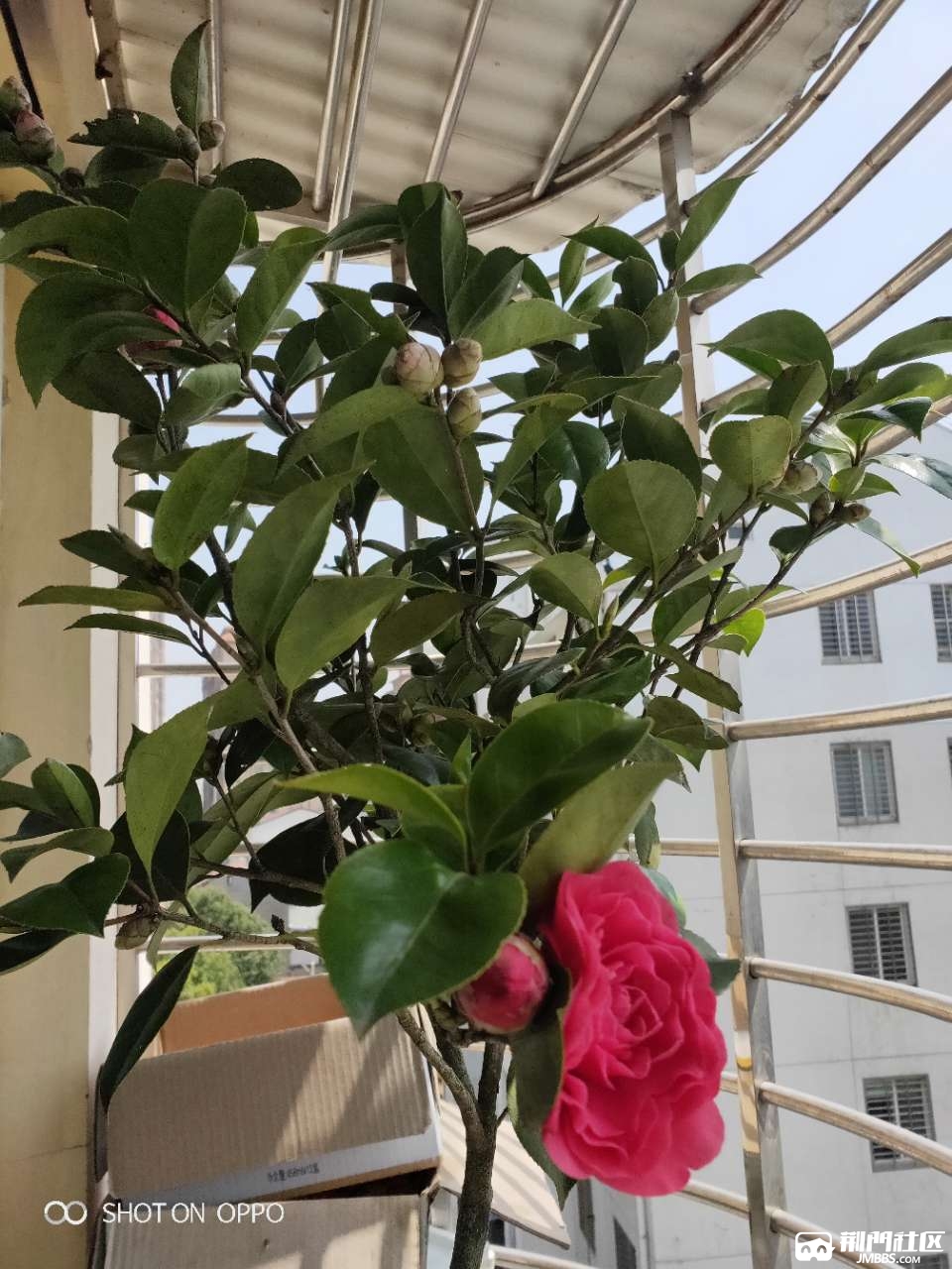 20190325_2792237_1553489175516.jpg