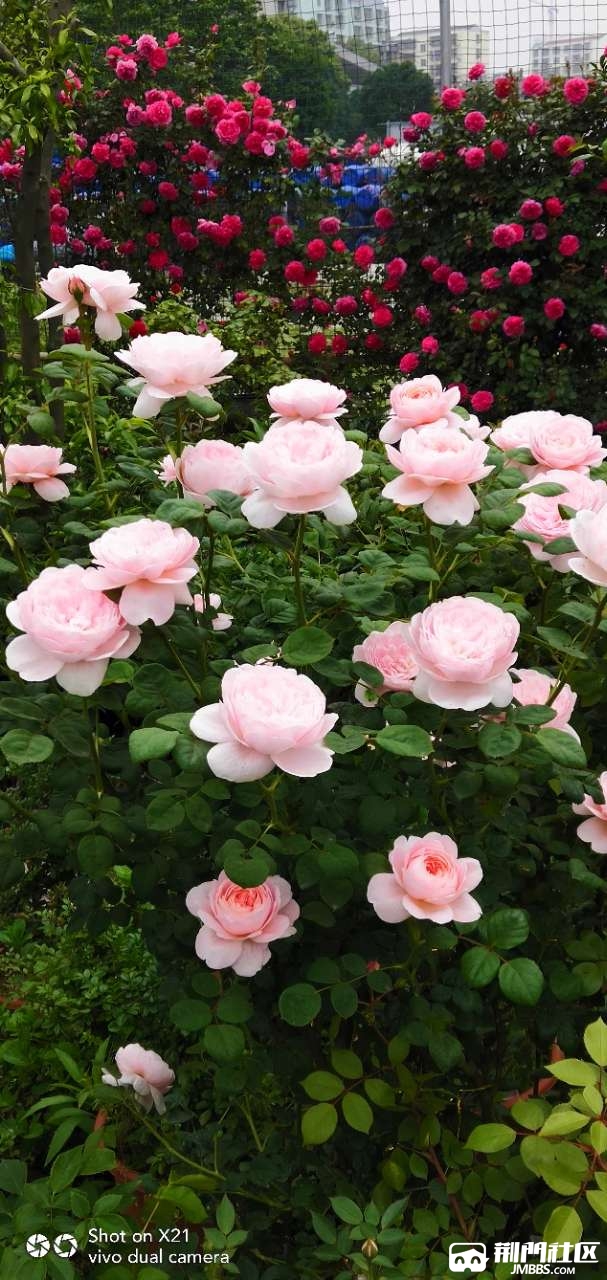 20190428_2780394_1556428960017.jpg