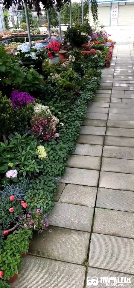 20190428_2780394_1556428960172.jpg