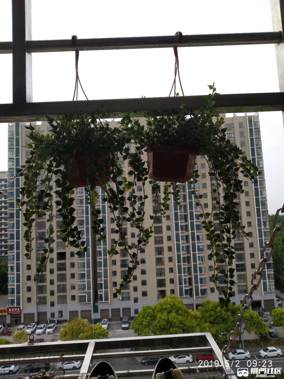 20190502_640487_1556762699713.jpg
