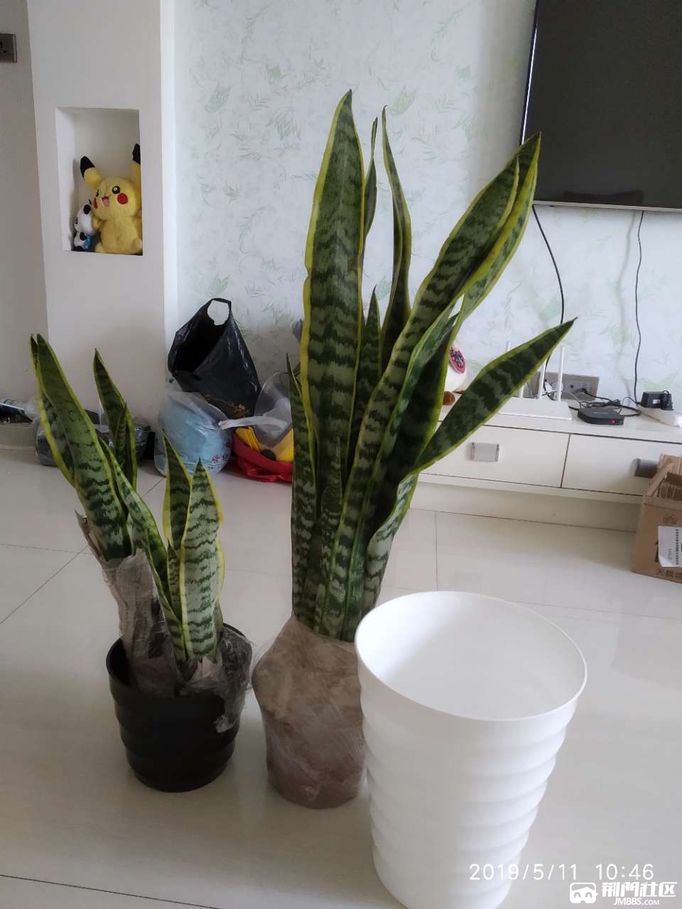 20190511_640487_1557542898281.jpg