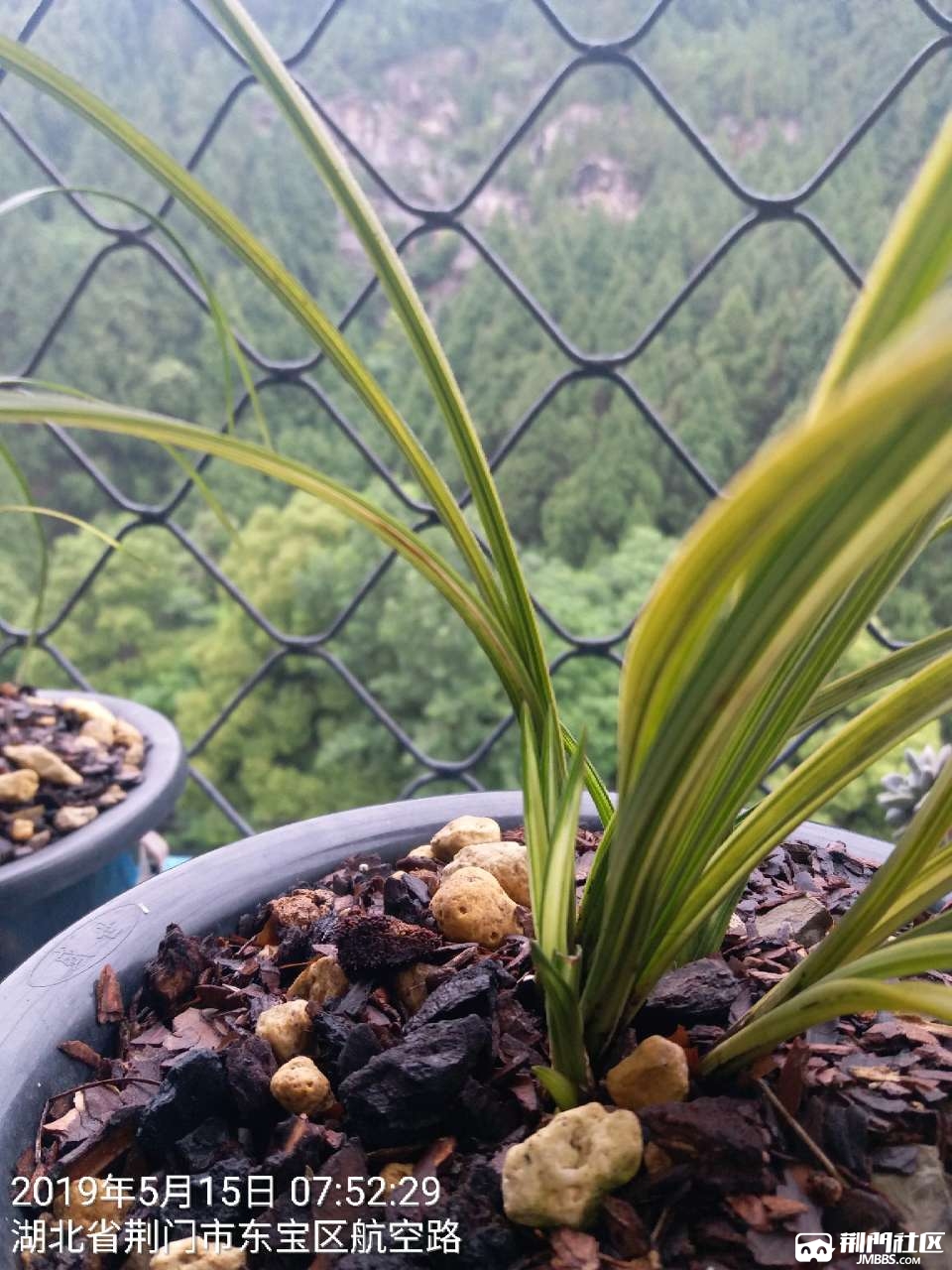 20190515_86529_1557907919012.jpg