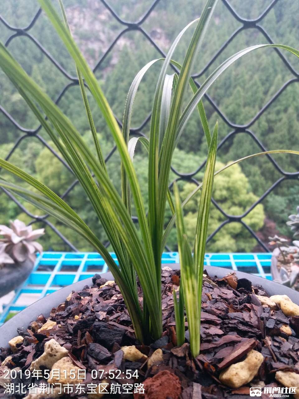 20190515_86529_1557907919468.jpg