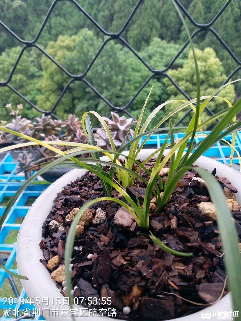 20190515_86529_1557907920895.jpg