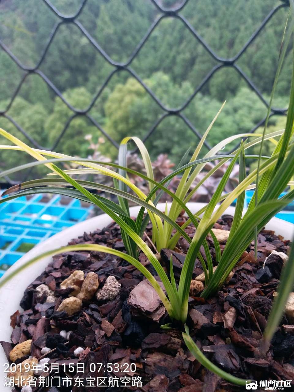 20190515_86529_1557907920417.jpg