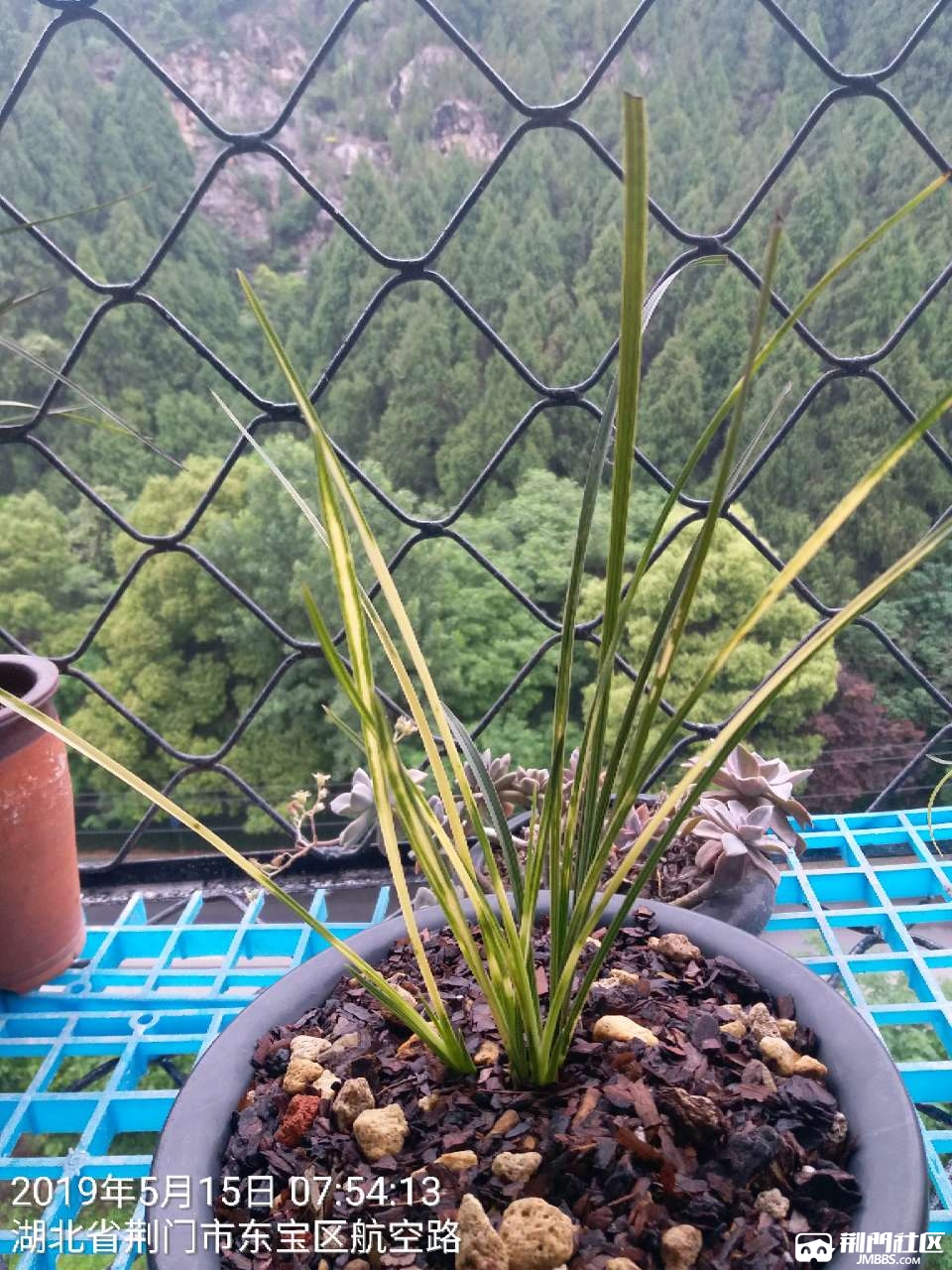 20190515_86529_1557907921365.jpg