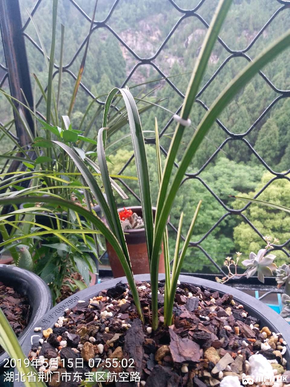 20190515_86529_1557907922338.jpg
