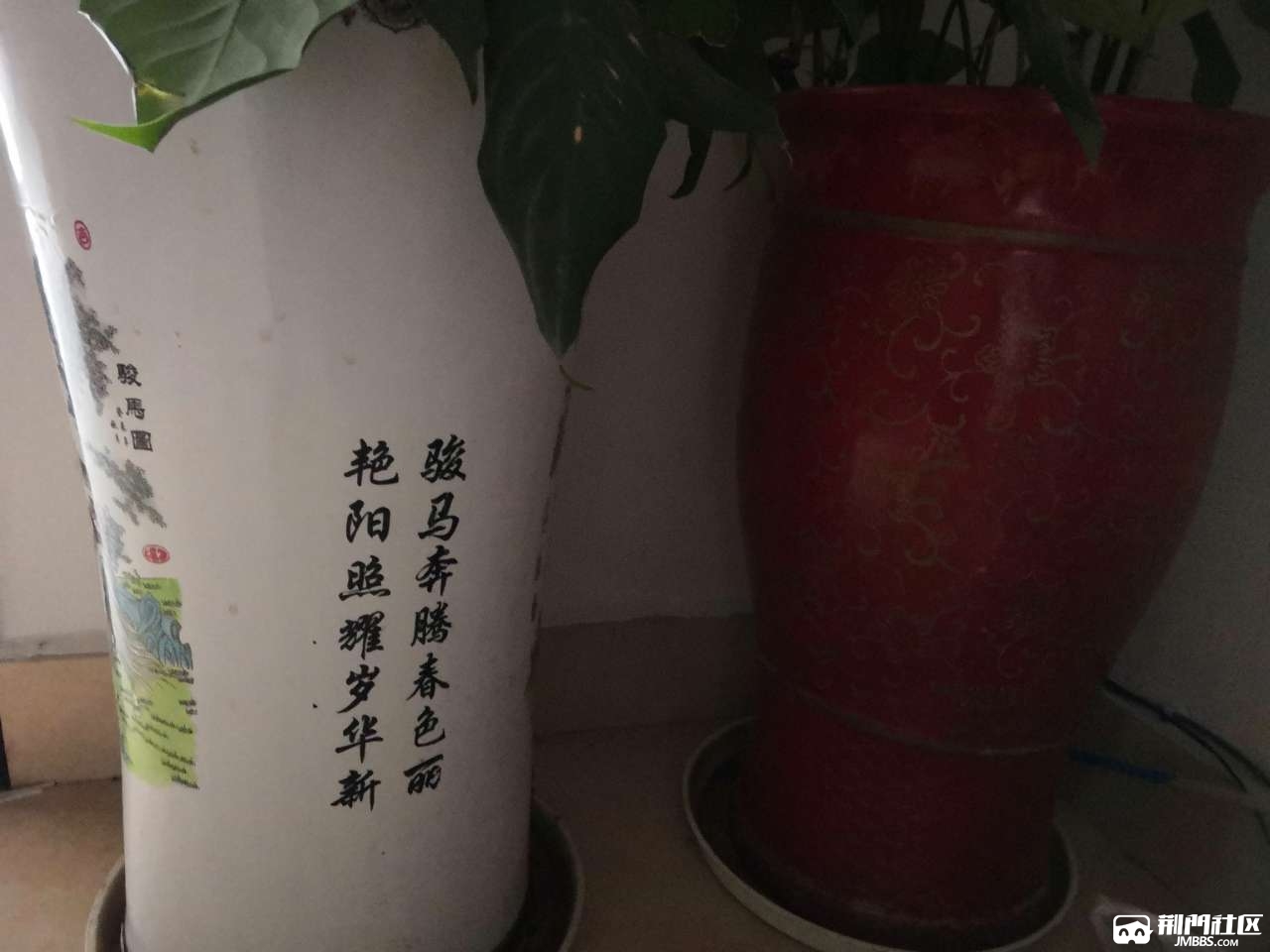 20190531_3393882_1559266155696.jpg