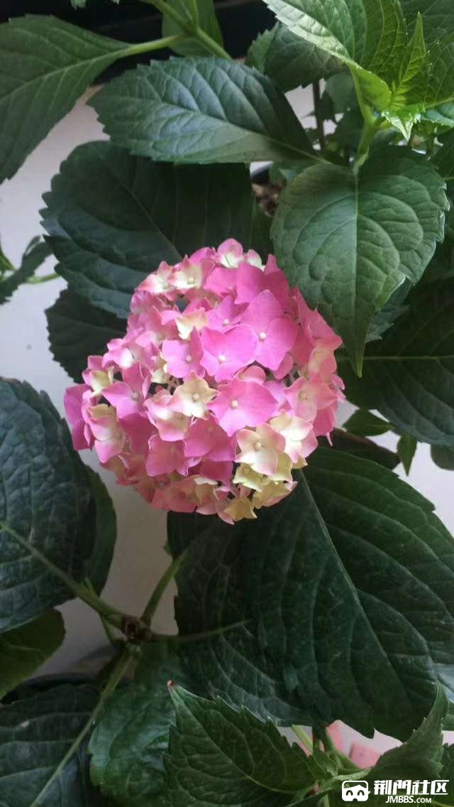 20190826_1070998_1566809983119.jpg