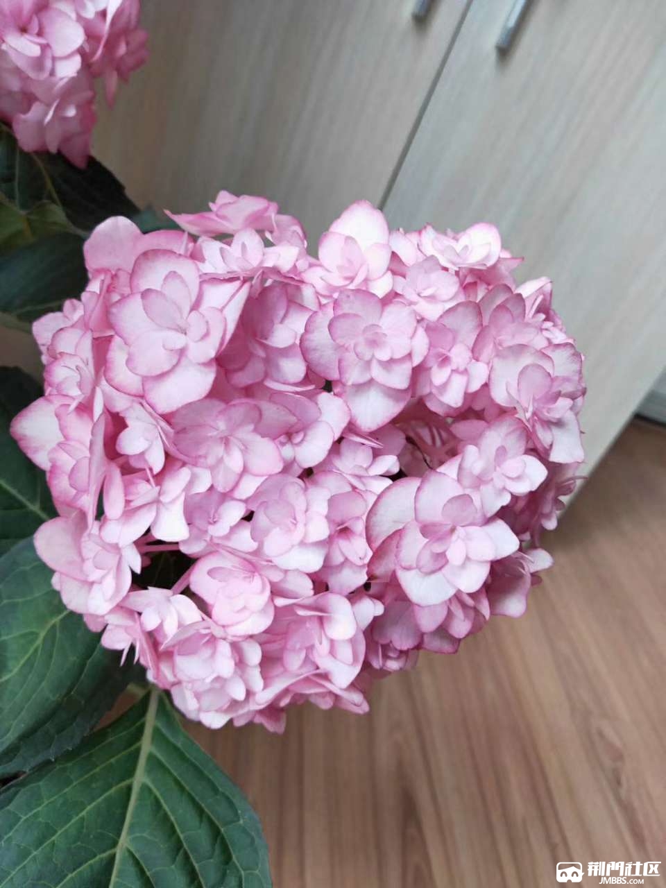 20190826_1070998_1566809983214.jpg