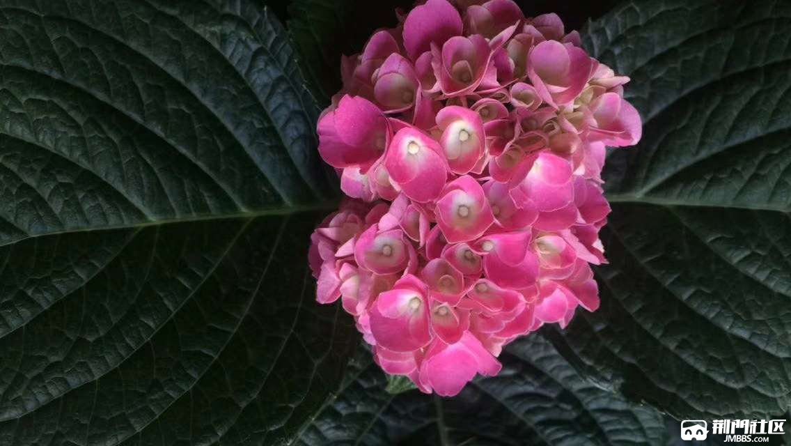 20190826_1070998_1566809983075.jpg