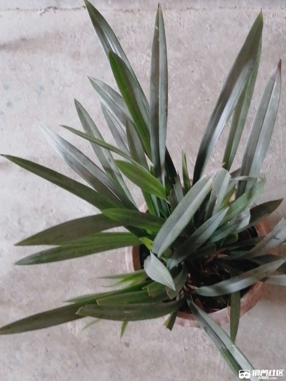 20190927_90451_1569558297857.jpg